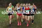 Junior Womens 2024 Northern Cross Country Champs., Sedgefield. Photo: David T. Hewitson/Sports for All Pics